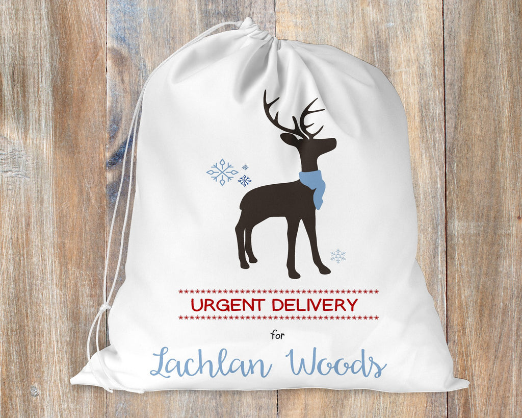 Santa Sack Urgent Delivery Reindeer - Blue